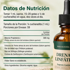 Drenaje Linfático en Gotas – Fórmula Botánica